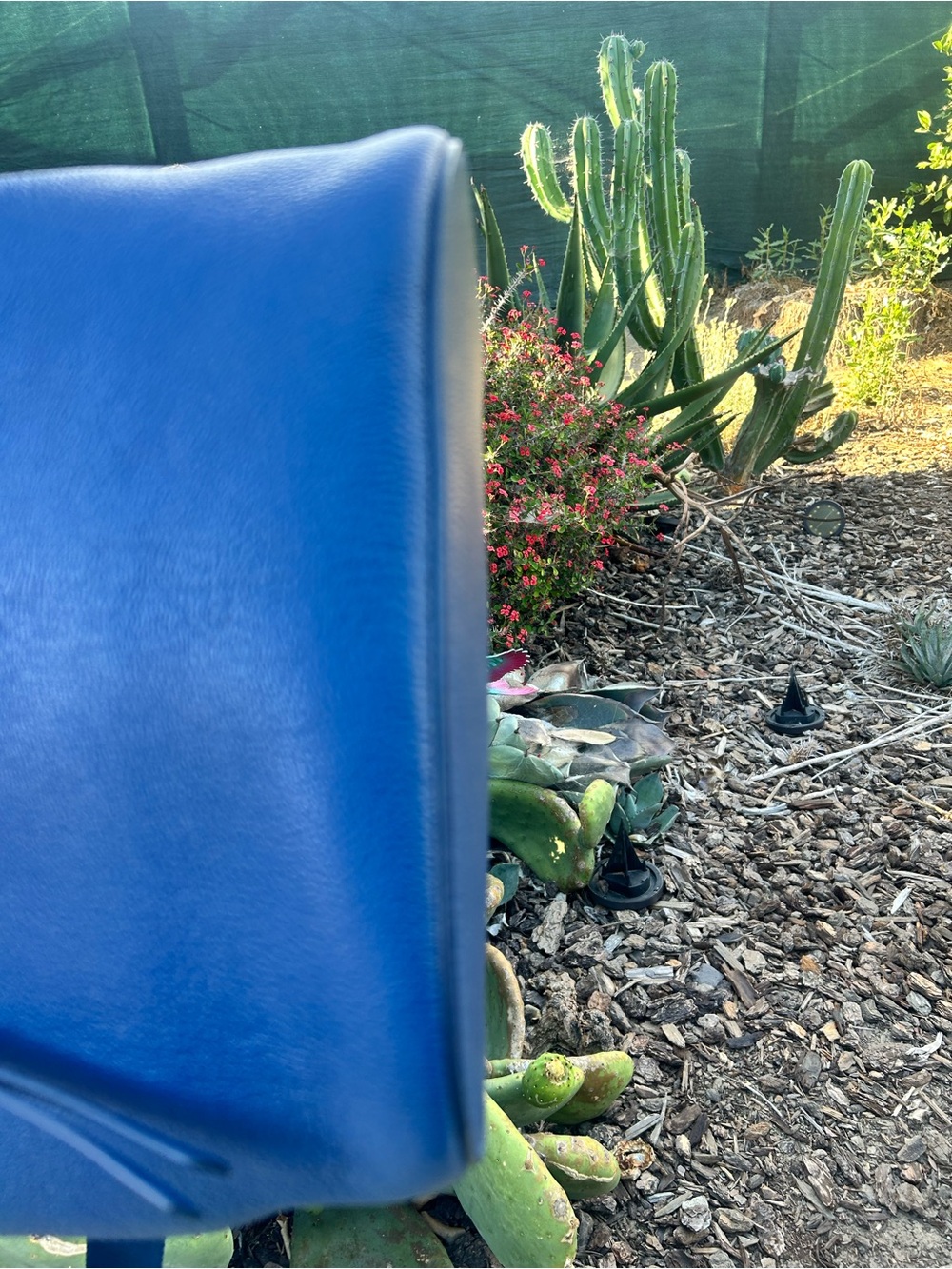 Miu Miu Cobalt Blue Pebbled Leather Crossbody Bucket Bag with Striped Web Strap - Picture 7 of 9